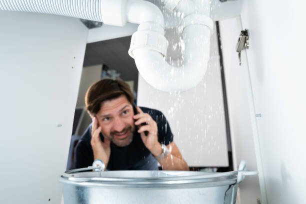 Professional Plumbing in Dassel, MN