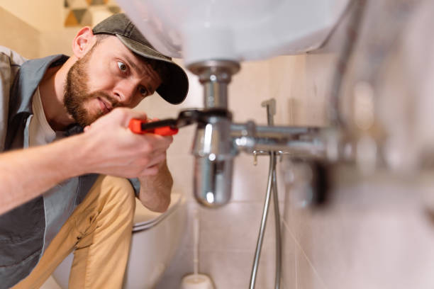 Best Sprinkler Systems  in Dassel, MN