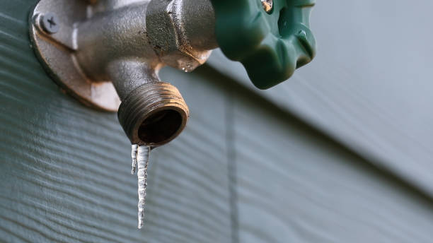 Best Shower Repair Services  in Dassel, MN