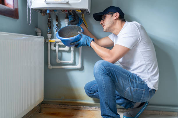 Best Emergency Plumber  in Dassel, MN