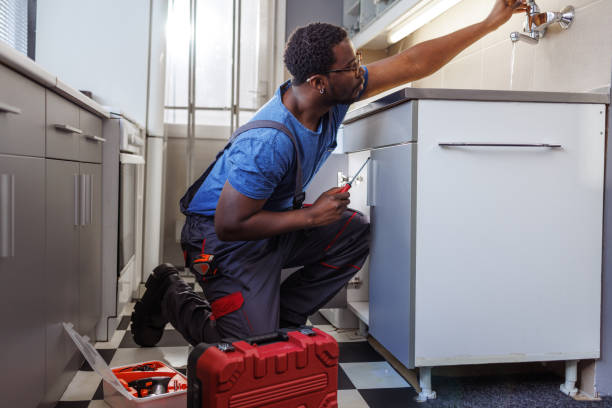 Best Sewer Line Repair  in Dassel, MN