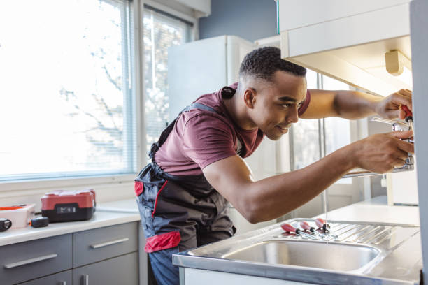 Best Local Plumber Services  in Dassel, MN
