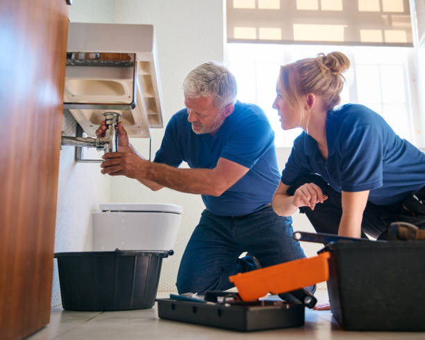 Best Septic Systems  in Dassel, MN